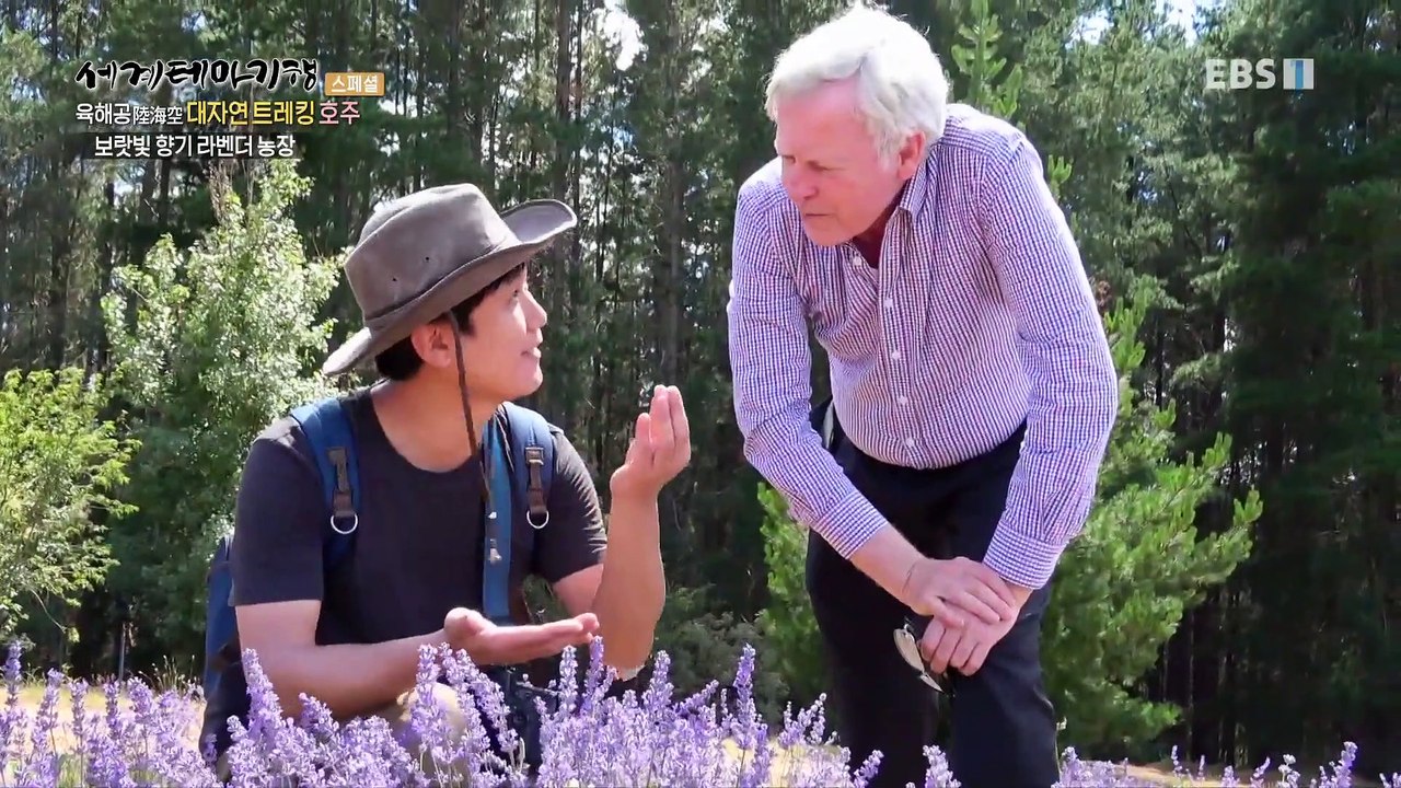 세계테마기행 - 육해공 대자연 트레킹- 순수의 섬, 테즈메이니아_#002