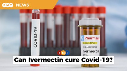 Seek approval before conducting Ivermectin clinical trials, GPs told