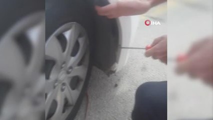 Otomobil tamponunda mahsur kalan yavru kedi kurtarıldı