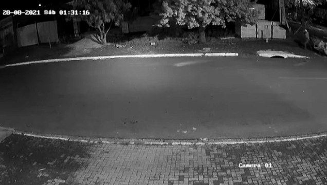 Mais um furto envolvendo carrinho de coletor de recicláveis é registrado, desta vez no Bairro Cascavel Velho