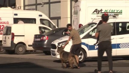 Yangından 12 saat sonra köpeklerini buldu