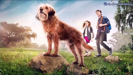 Las 10 Mejores películas de Perros TOP 10