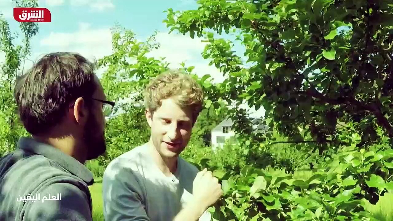 ...نعم نعم رائع ....