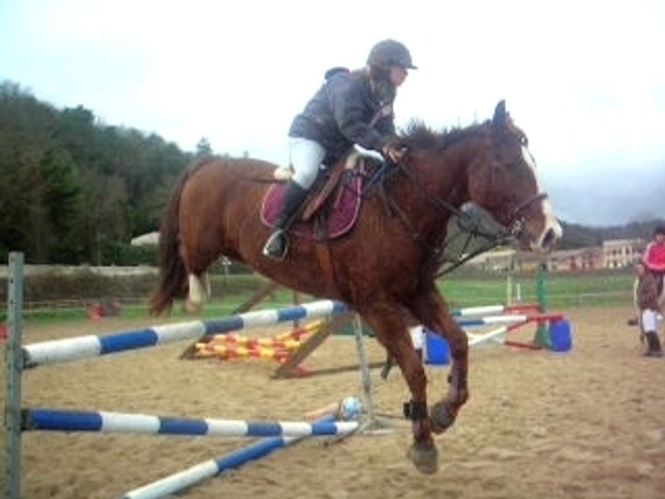 Ingrid & Lulu = Vertical