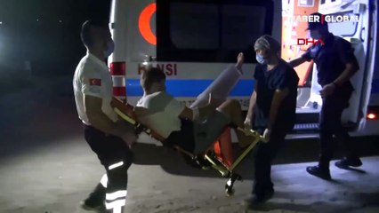 16 yavruyu ve korumaya çalışan gönüllüyü ATV ile ezdiler