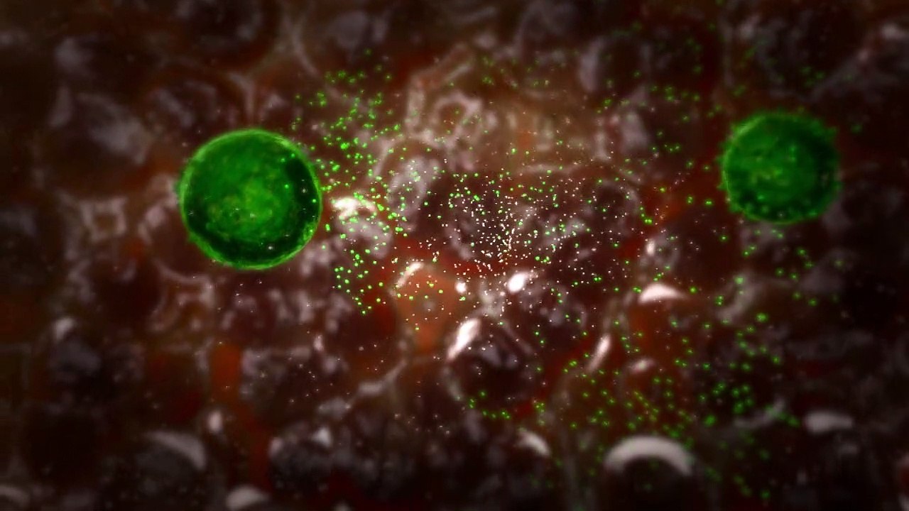 Qu'est-ce que la mutation d’un virus ?