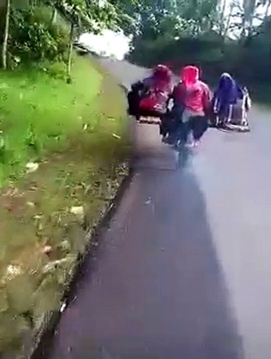 Funny Videos