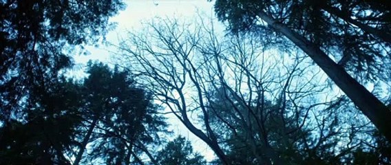 Wired Shut (2021) Trailer