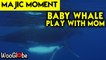 'BREATHTAKING Underwater Footage of Humpback Whale Bonding with Calf'