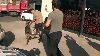 İşyeri yandı, yangından 12 saat sonra içeride köpeklerini buldu: İş yerimiz küle döndü ama umurumda değil