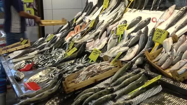Tezgahlar istavritle doldu, balıkçıları palamut heyecanı sardı