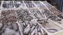 Av yasağının sona ermesiyle balık tezgahları doldu