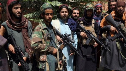 What Defense expert said on America and Taliban?