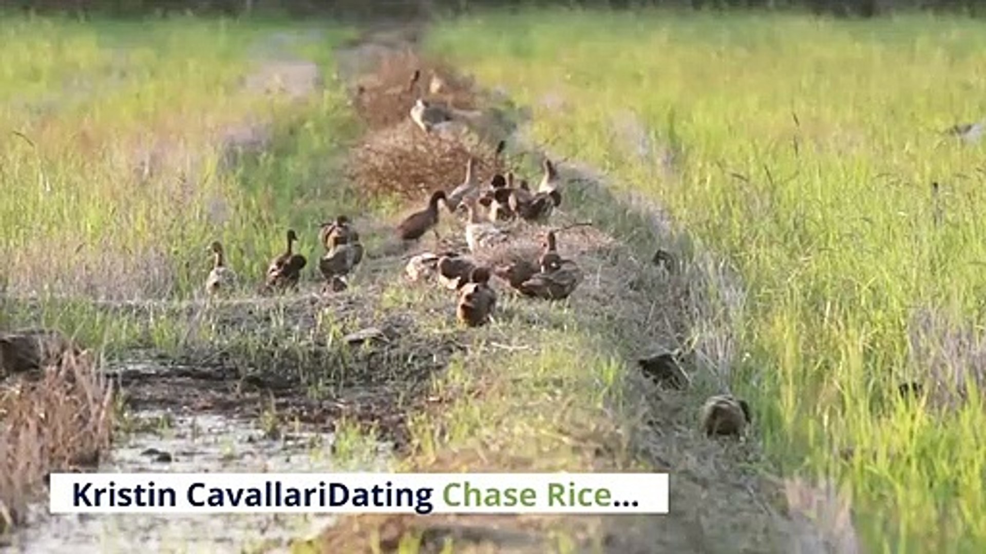 ⁣Chase Rice Kristin Cavallari Dating Country Singer