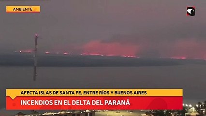 Incendios en el Delta del Paraná