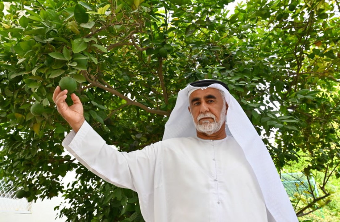 Hamad Hamdan Bin Alsawed