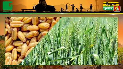 Agriculture News Bulletin : किसानों (Kisano) को आसानी से लोन (Loan) दिलाएगी PNB की ये नई स्कीम | कृषि लोन (Agricultural Loan) | Kisan Bulletin | Green TV