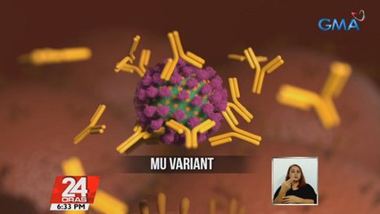 Mu variant ng ng SARs-COV-2 na may epekto sa bisa ng mga bakuna at C.1.2 variant mula South Africa, binabantayan ng WHO  | 24 Oras