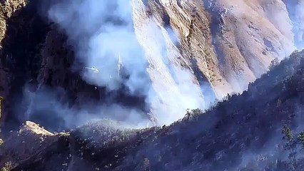 Bitlis'teki orman yangınına havadan müdahale devam ediyor.