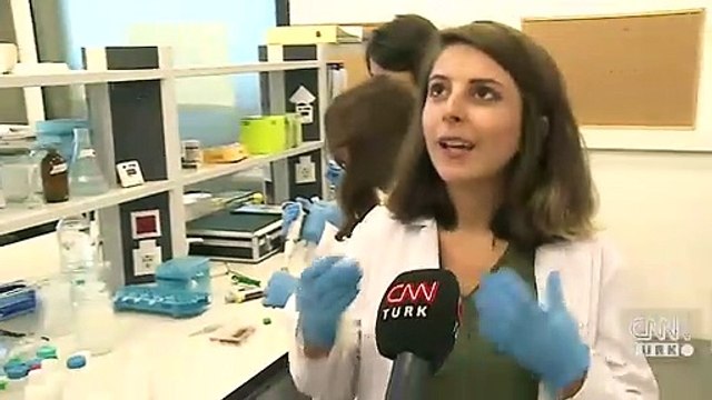 Kantaron yağından güneş kremi yaptılar