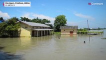 Floods in India's Assam force villagers and wildlife to flee