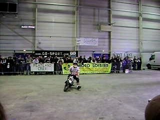 fmx dirt