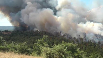 ÇANAKKALE - Orman yangınına müdahale ediliyor
