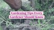 Gardening Tips Every Gardener Should Know