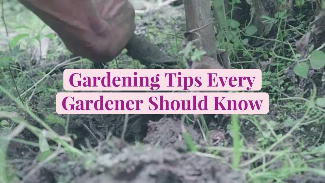 Gardening Tips Every Gardener Should Know