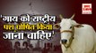 Allahabad High Court की Cow को लेकर विशेष टिप्पणी, कहा- गाय को National Cow घोषित करना चाहिए