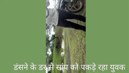 video story : डंसने से पहले ही पकड़ लिया सांप का फन