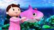 Baby Shark Dance | LBB Kids Songs | ABC's Baby Nursery Rhymes - Sing with Little Baby Bum