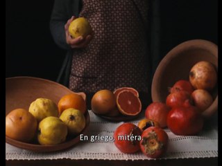 La metamorfosis de los pájaros - Tráiler oficial VOSE -