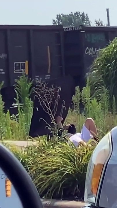 Il imite le son des freins de train pour le faire stopper et bloquer les automobilistes...