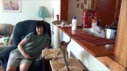 Jungle Josh Nov 6 2012