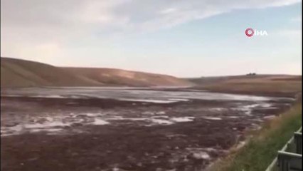 Son dakika 3. sayfa: Başkentte meydana gelen sel küçükbaş hayvanların telef olmasına neden oldu