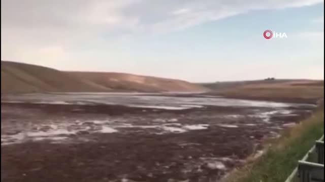 Son dakika 3. sayfa: Başkentte meydana gelen sel küçükbaş hayvanların telef olmasına neden oldu