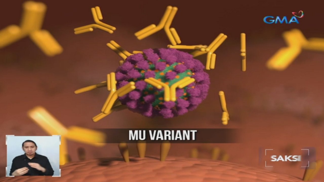 Mu variant na bagong variant of interest at C.1.2 variant na nakita sa S. Africa, binabantayan ng WHO | Saksi