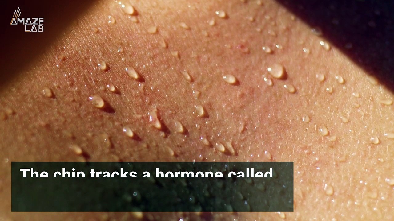 Want to Know If You’re Burned Out? This Wearabl...