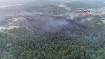 Son dakika haber! ÇANAKKALE'DEKİ ORMAN YANGINI KONTROL ALTINA ALINDI