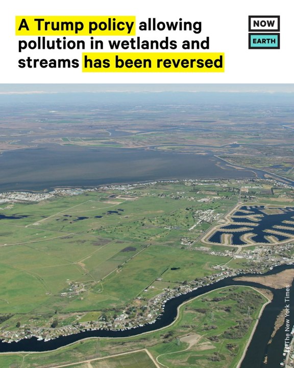Trump Ruling Allowing More Pollution in Streams and Wetlands Gets Reversed