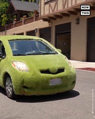 YouTuber Turns Car into Giant Chia Pet
