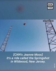 Seagull Smacks into Teen on Amusement Park Ride