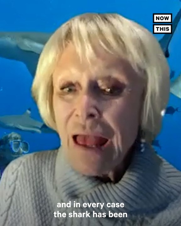 85-Year-Old Shark Diver Featured in Shark Fest 2021