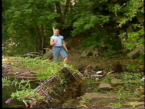 Ludvig Borga Vignette [1993-09-25]