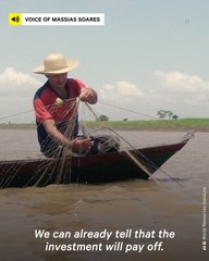 How Agroforestry Became a Family Affair for the Soares Family