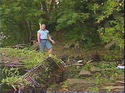 Ludvig Borga Vignette [1993-09-26]