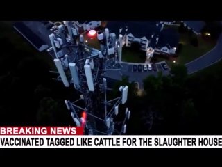 СМРТОНОСНЕ ИНЕКЦИЈЕ И 5G !