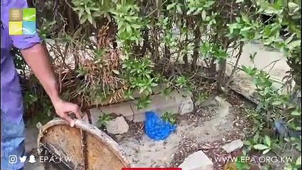 WhatsApp Video 2021-09-01 at 10.21.09 PM