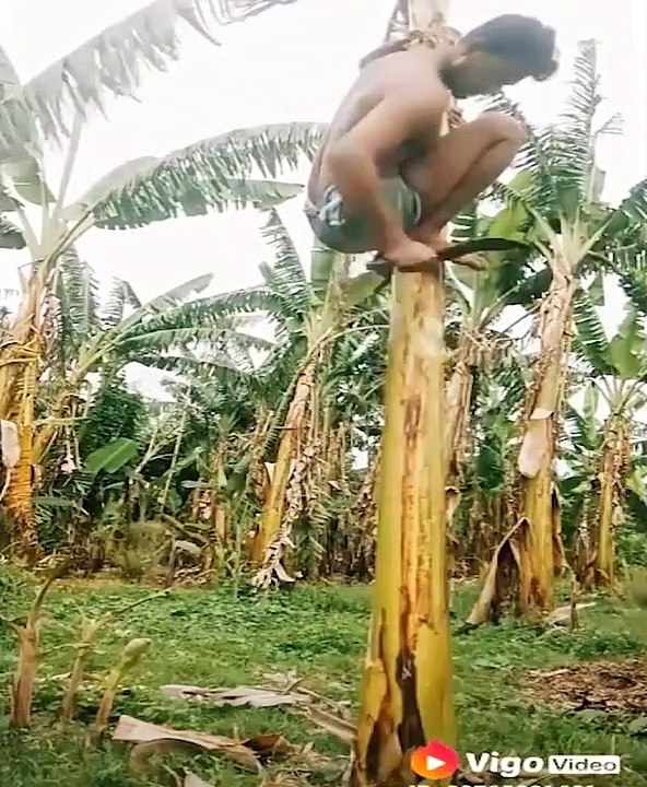 Si te ríes pierdes !! Un video lleno de diversión.If you laugh you lose! A video full of fun.